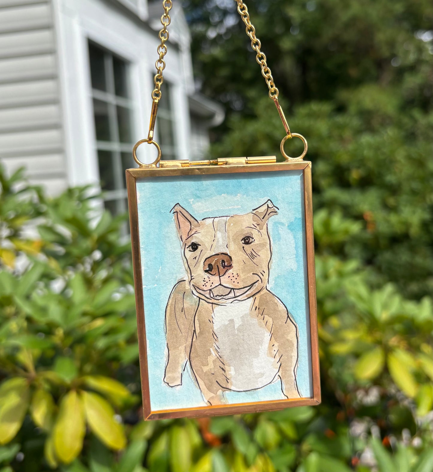 Blue Pitty